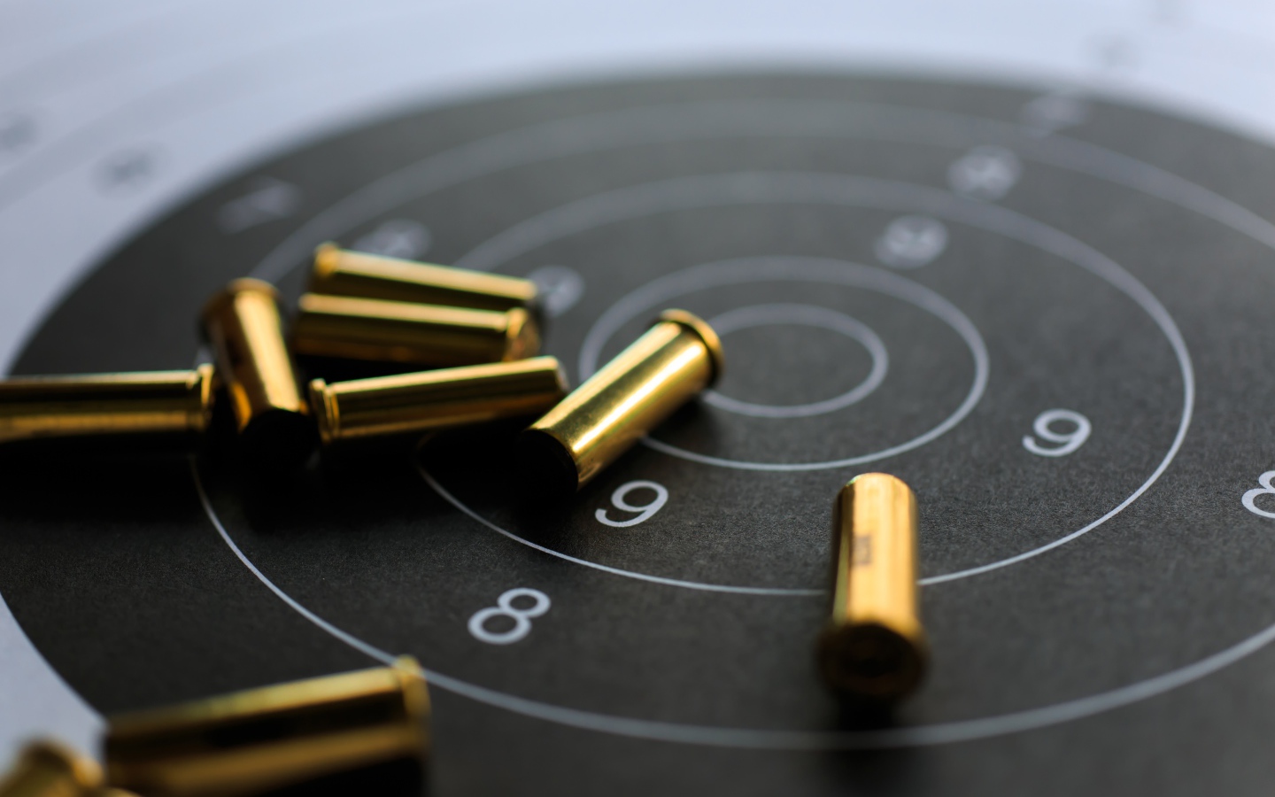 Мишень с патронами крупным планом 