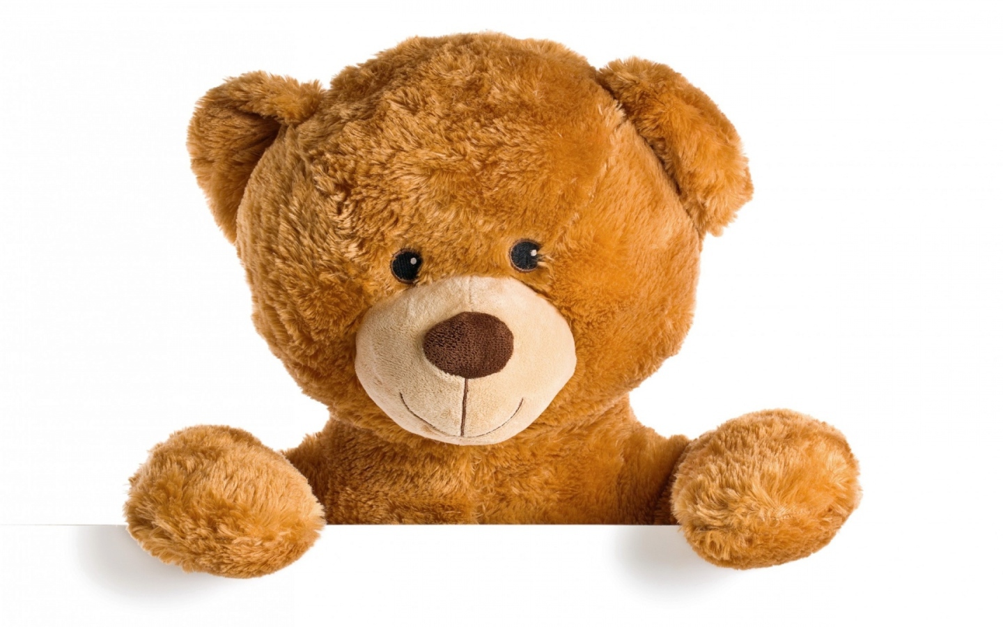 Милый плюшевый медвежонок на белом фоне