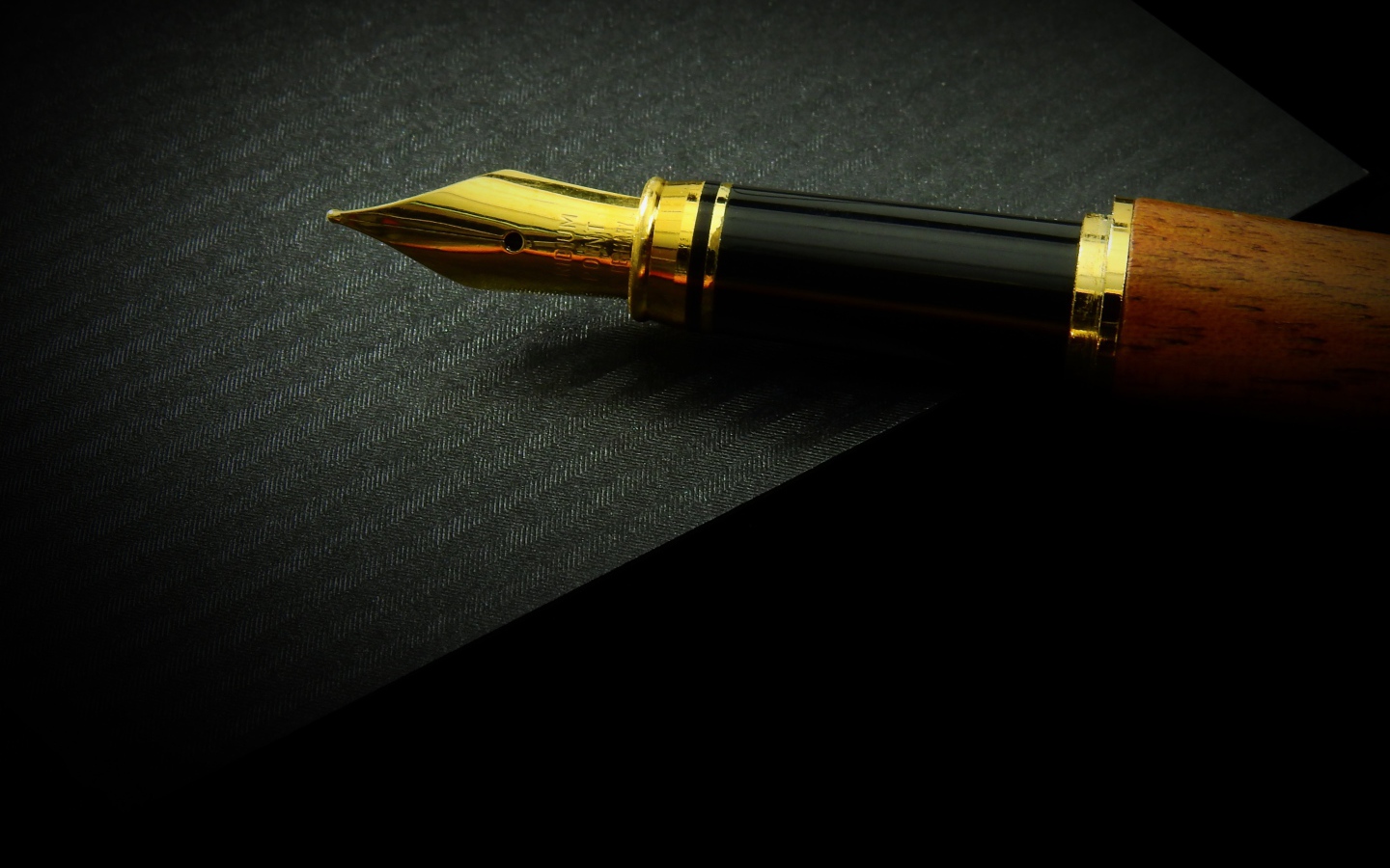 Gold nib ink pen