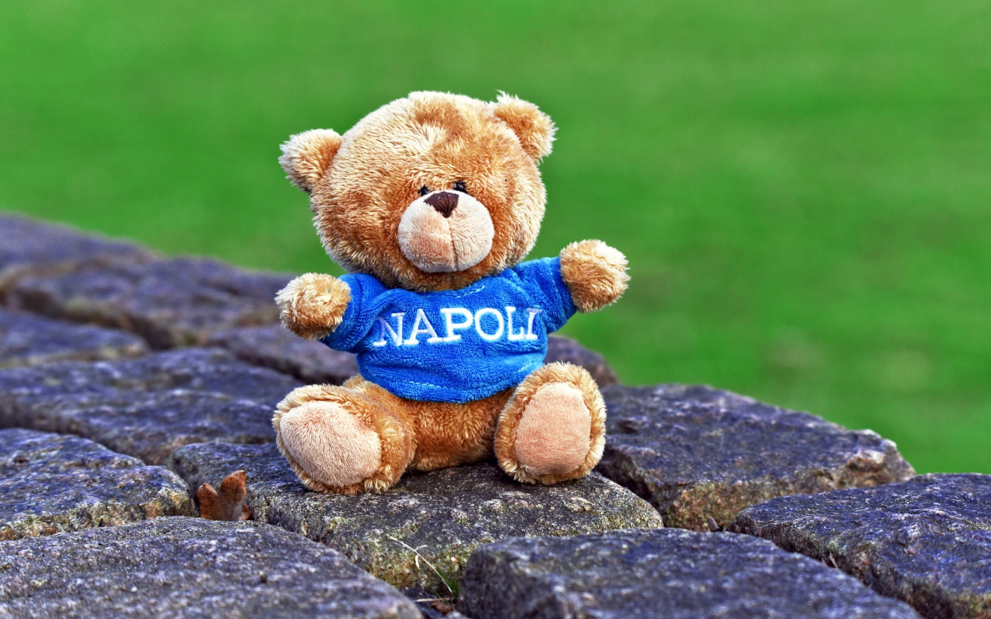 Маленький игрушечный медвежонок сидит на камнях 