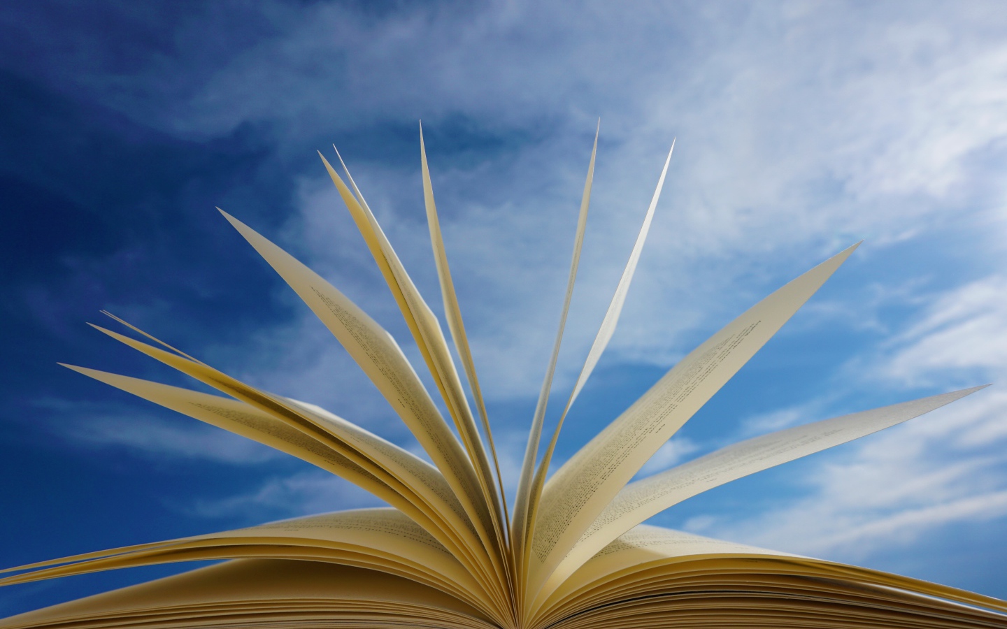 Открытые страницы книги на фоне голубого неба