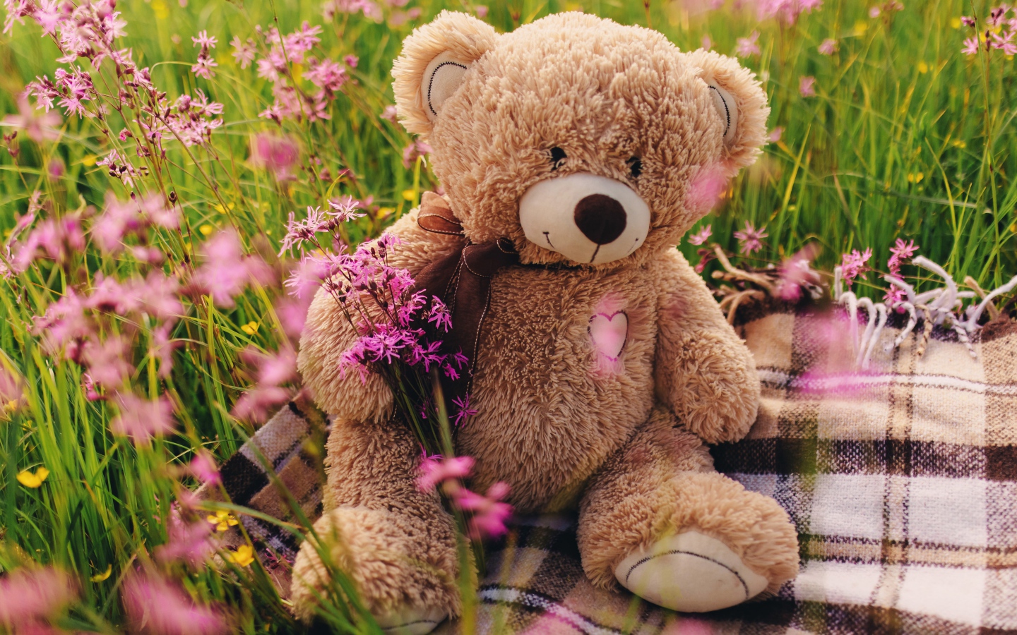 Медвежонок Тедди сидит в зеленой траве 