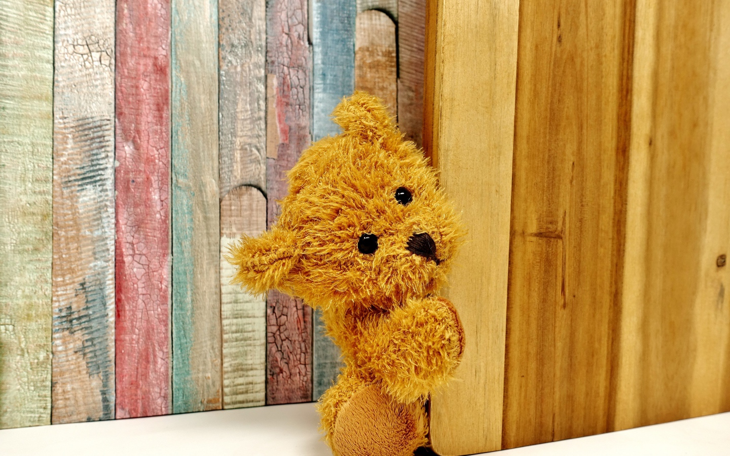 Teddy bear peeks out of the door