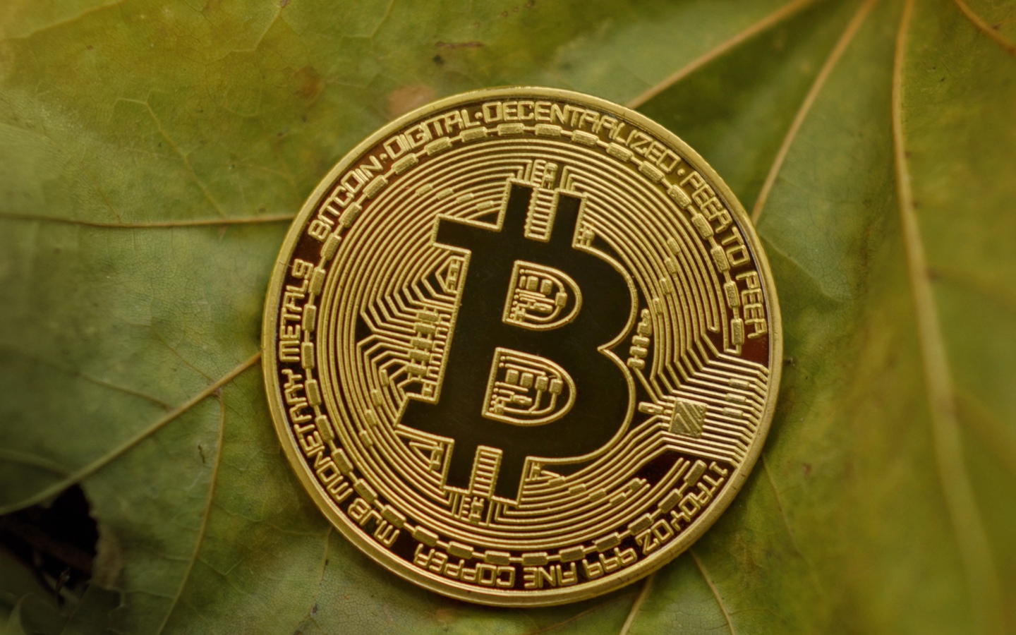 Золотая монета биткоин лежит на зеленом листе