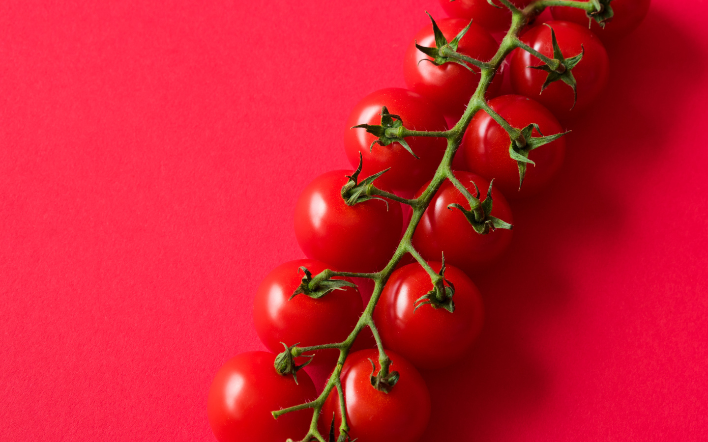 Много красных спелых помидоров на розовом фоне