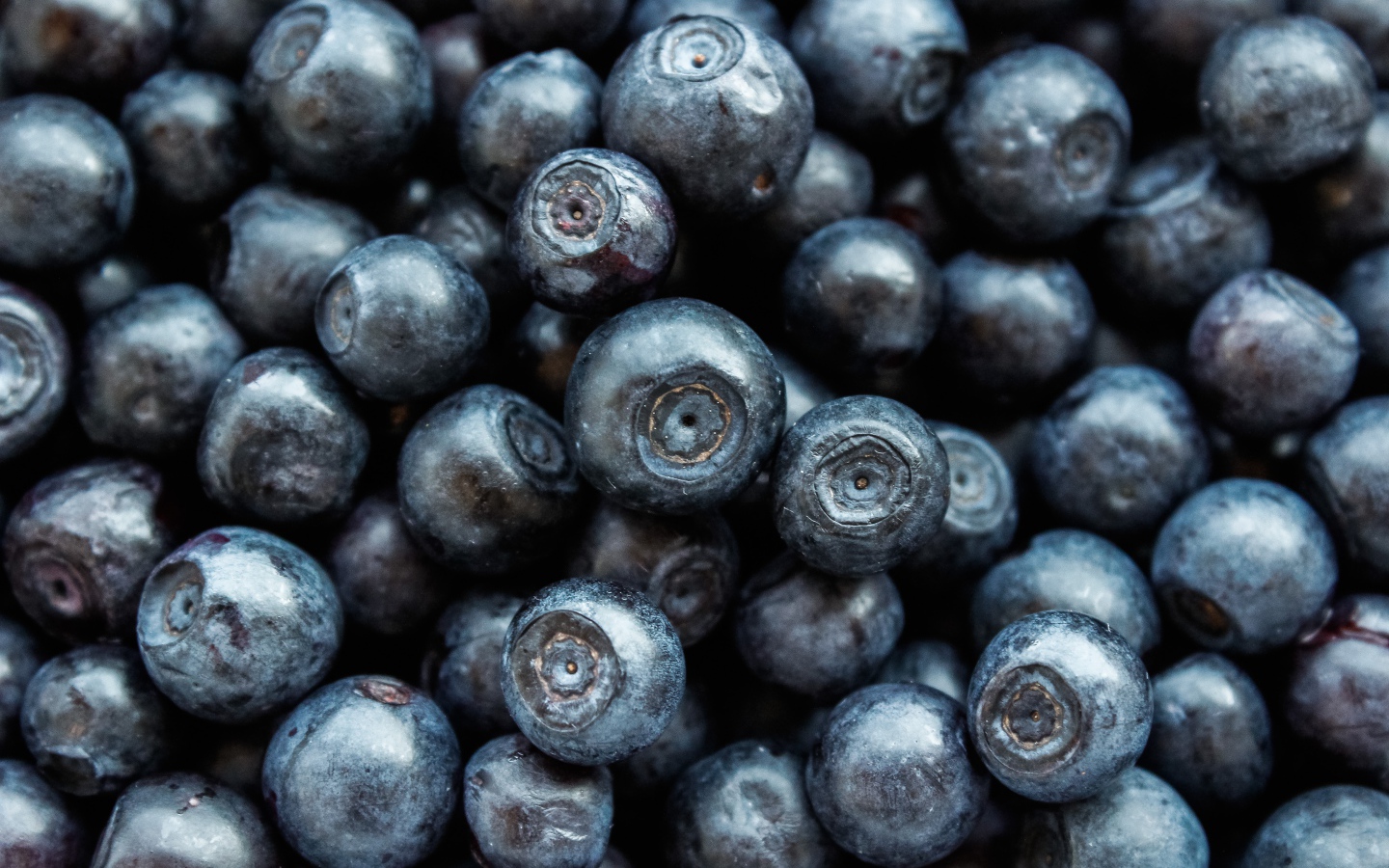 Ягоды черники крупным планом 