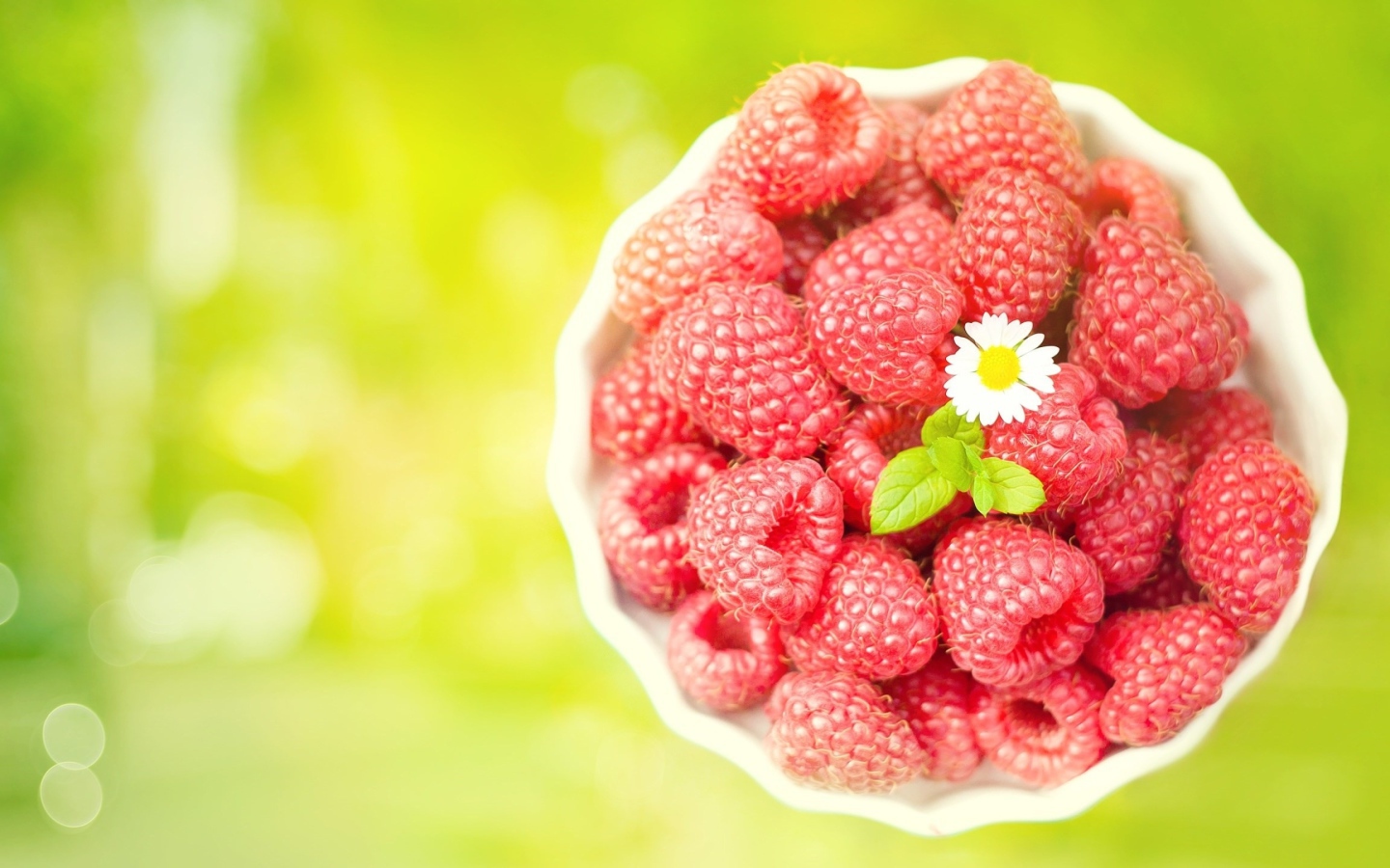 Миска спелой малины с белой ромашкой