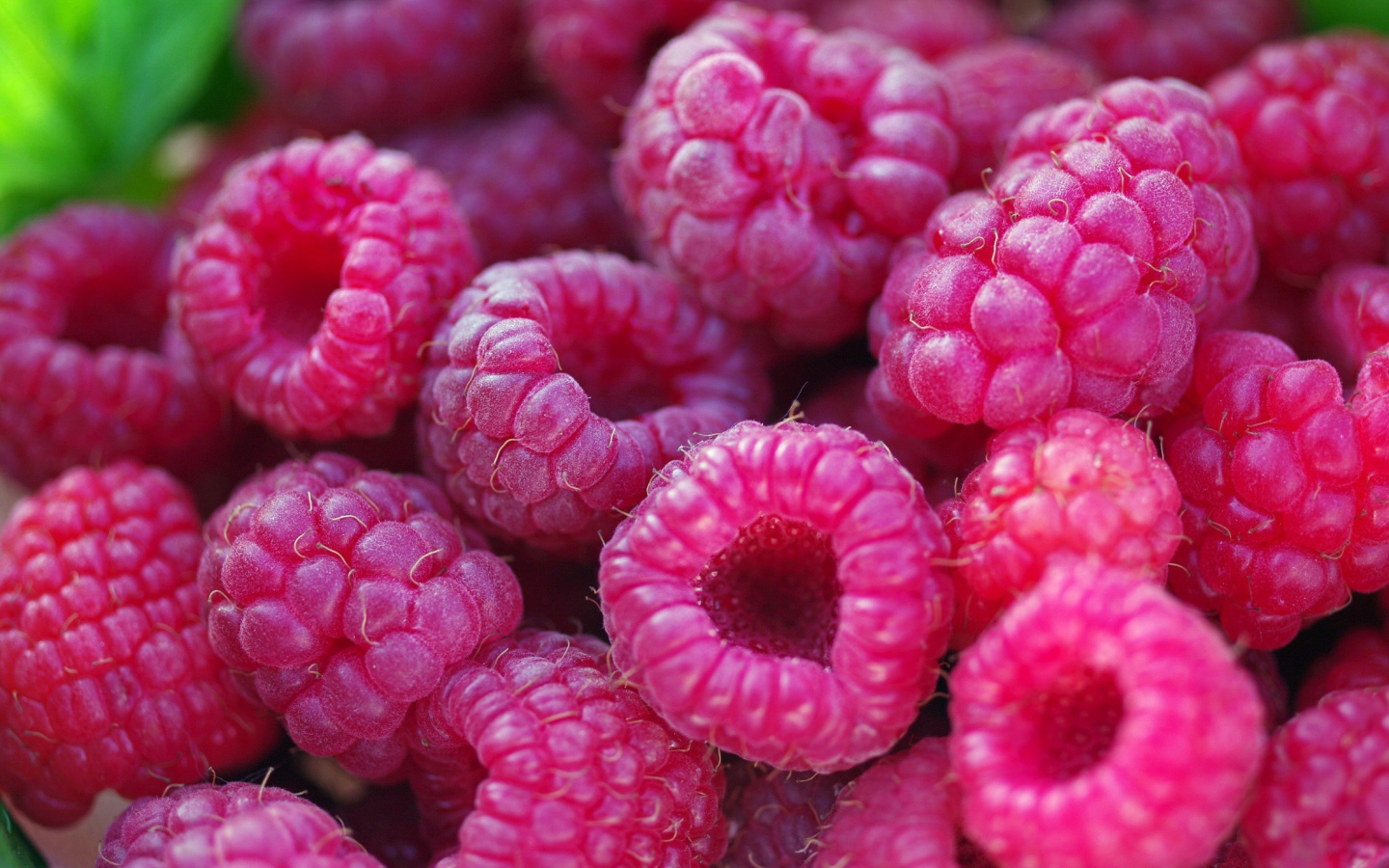 Спелые крупные ягоды малины 