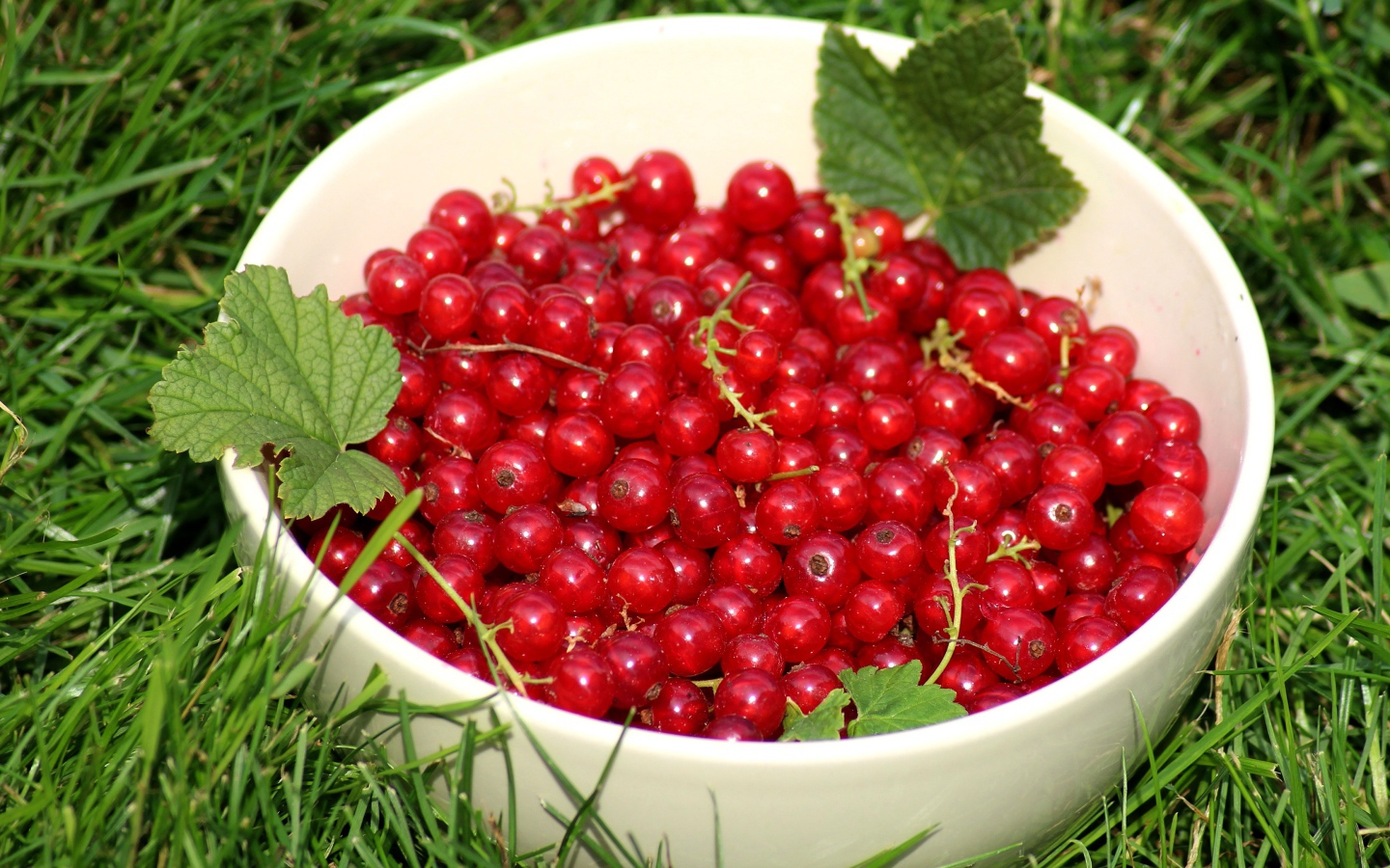 Спелая красная смородина в белой миске на зеленой траве 