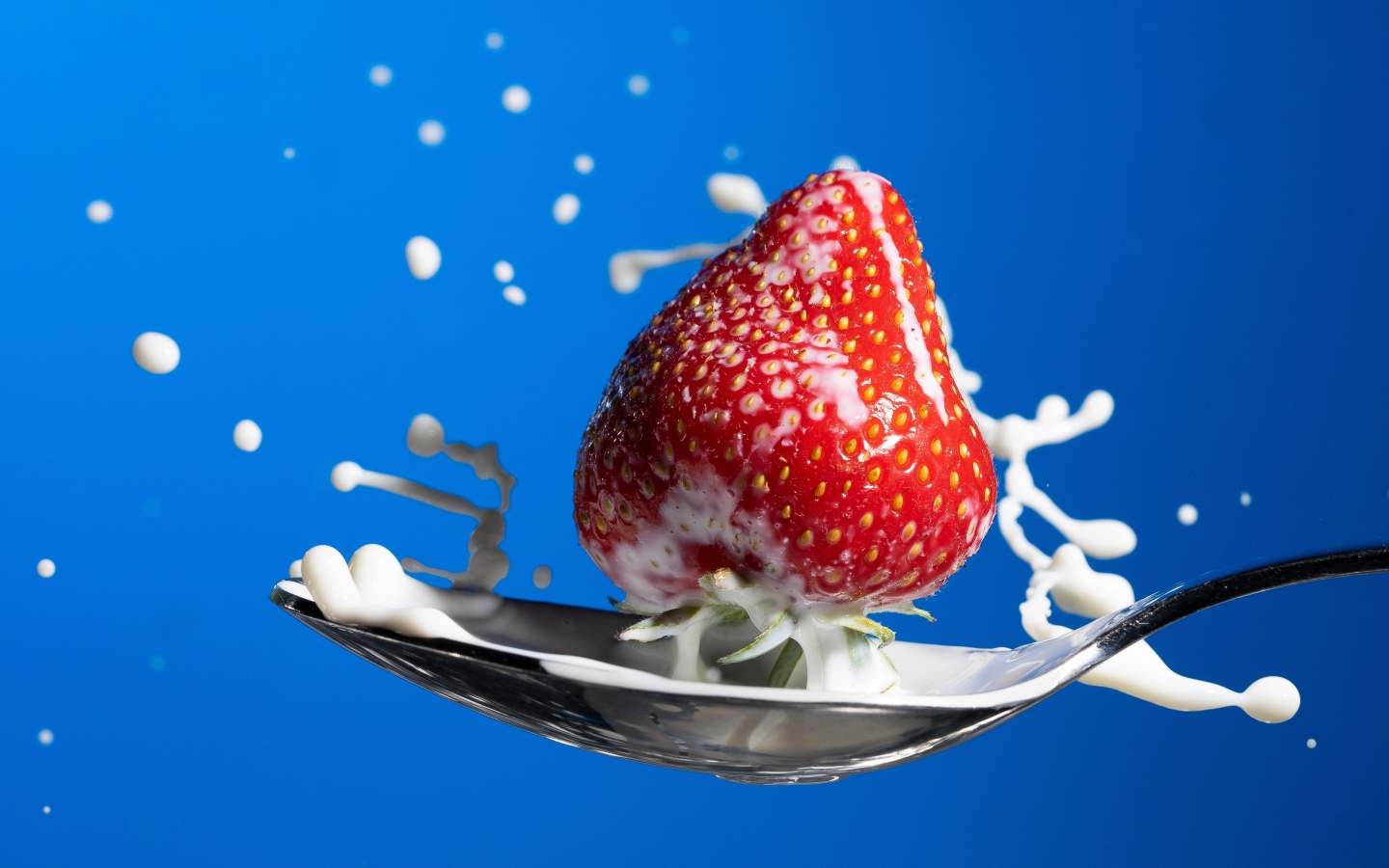 Спелая красная клубника в ложке молока на голубом фоне