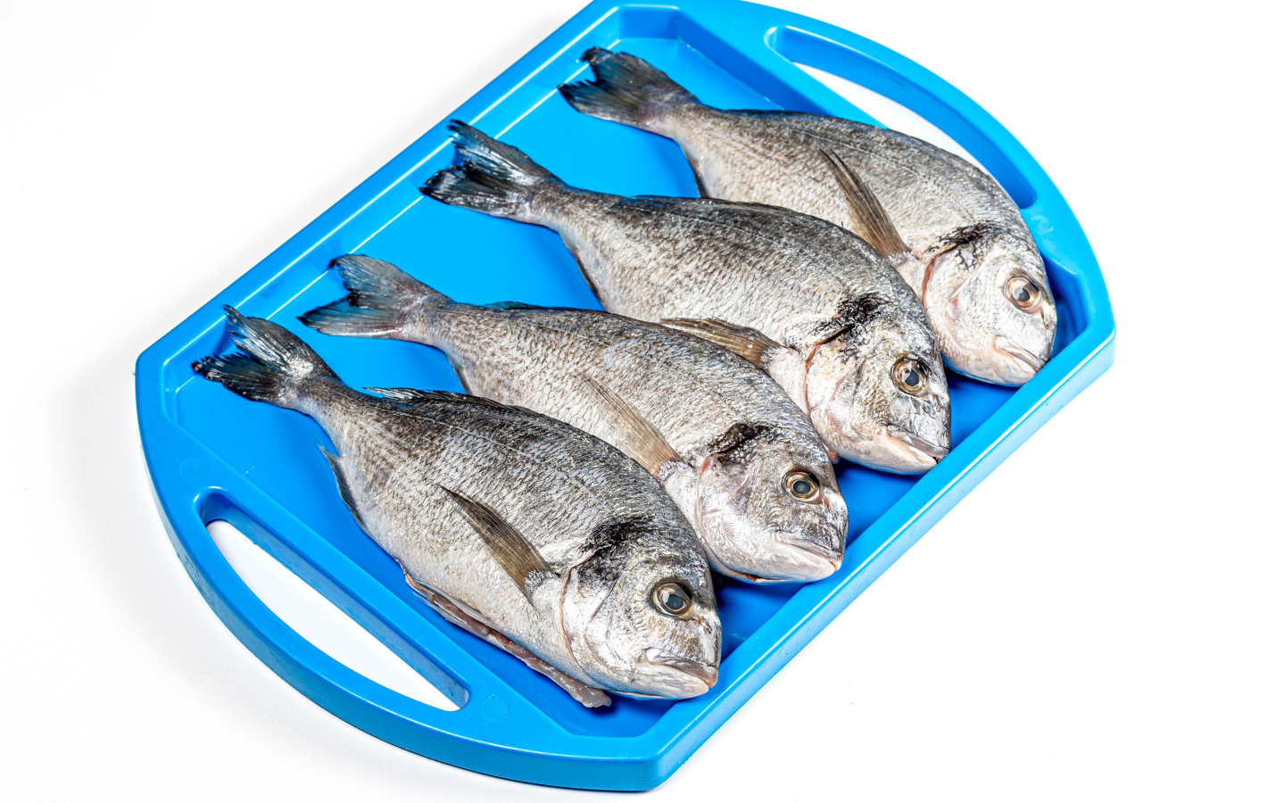 Свежая рыба на голубом подносе на белом фоне