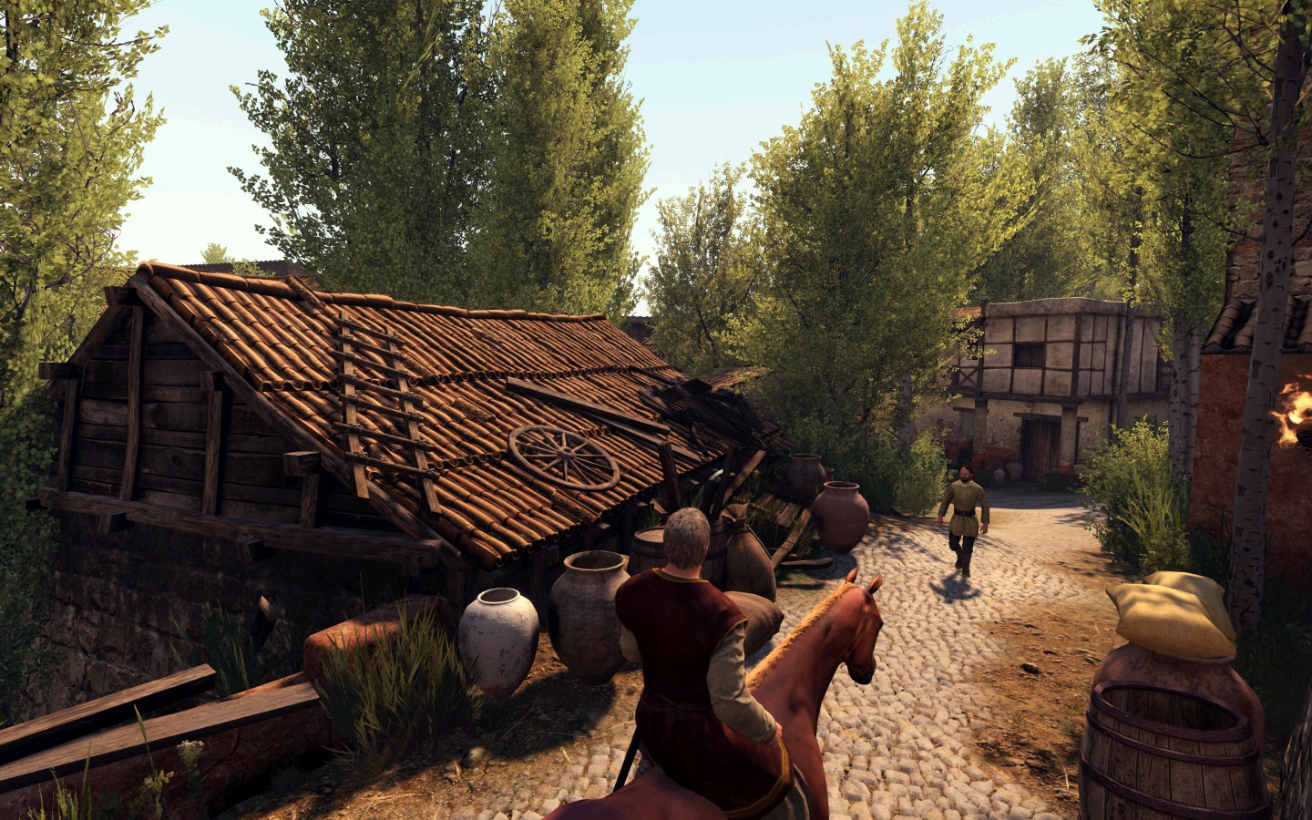 Кадр компьютерной игры Mount & Blade II: Bannerlord