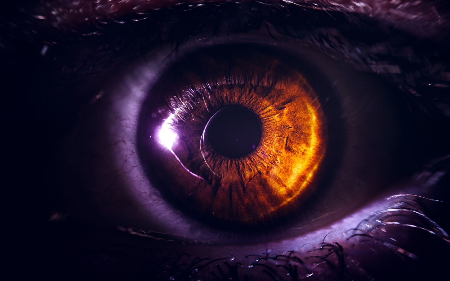 Карий глаз девушки крупным планом