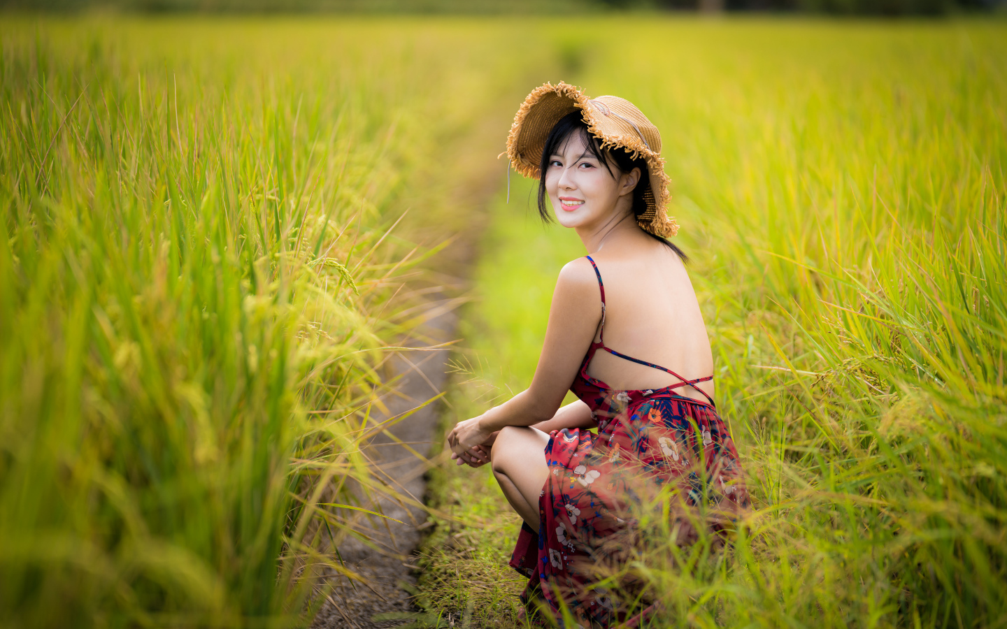 Девушка азиатка сидит на рисовом поле 