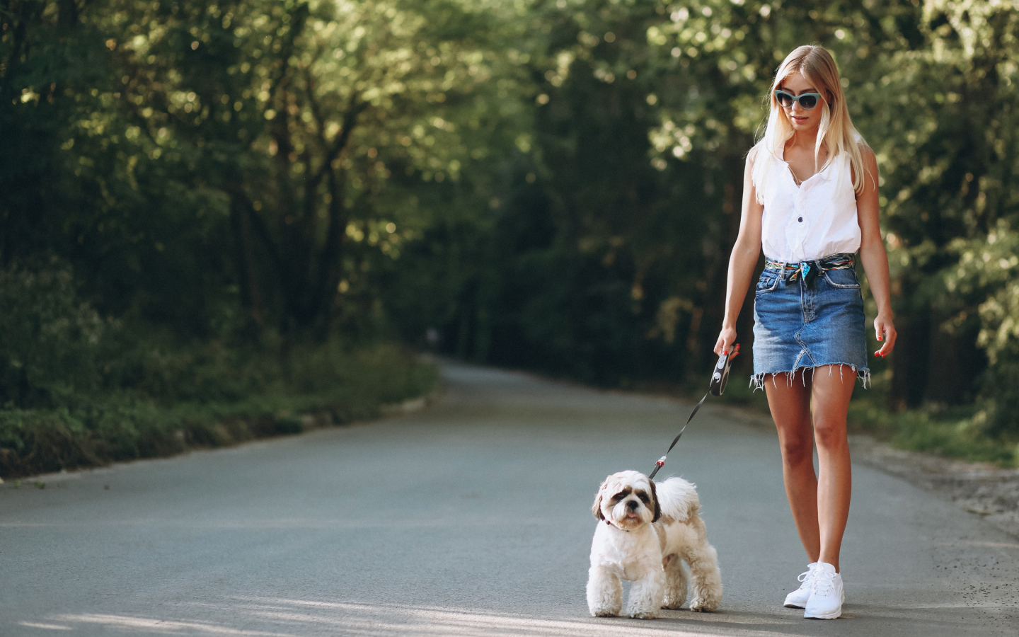 Красивая блондинка идет по дороге с собакой