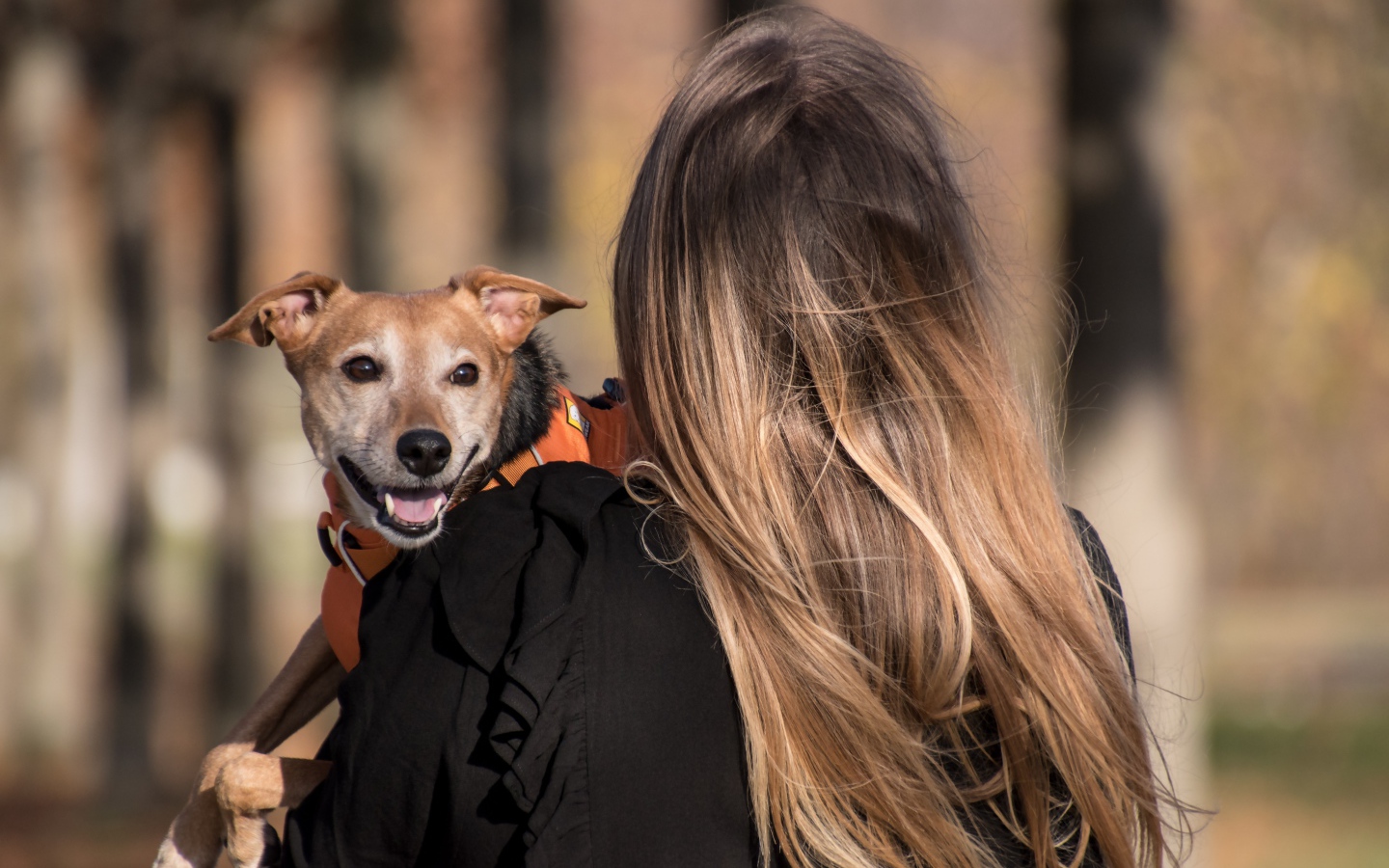 Девушка несет собаку на руках 