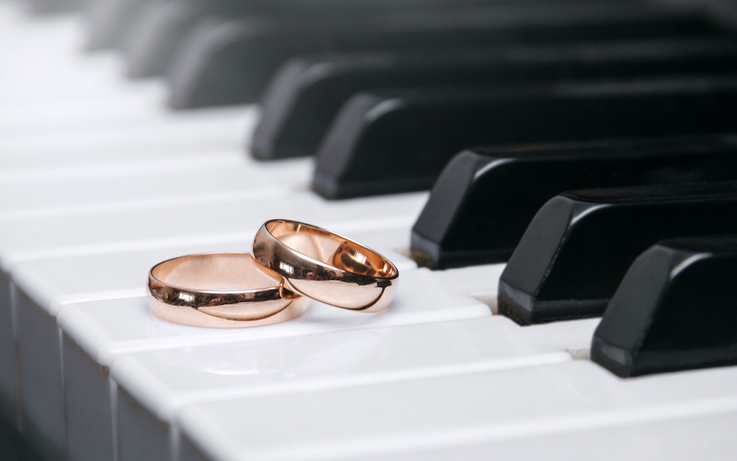 Два золотых обручальных кольца на клавишах рояля 