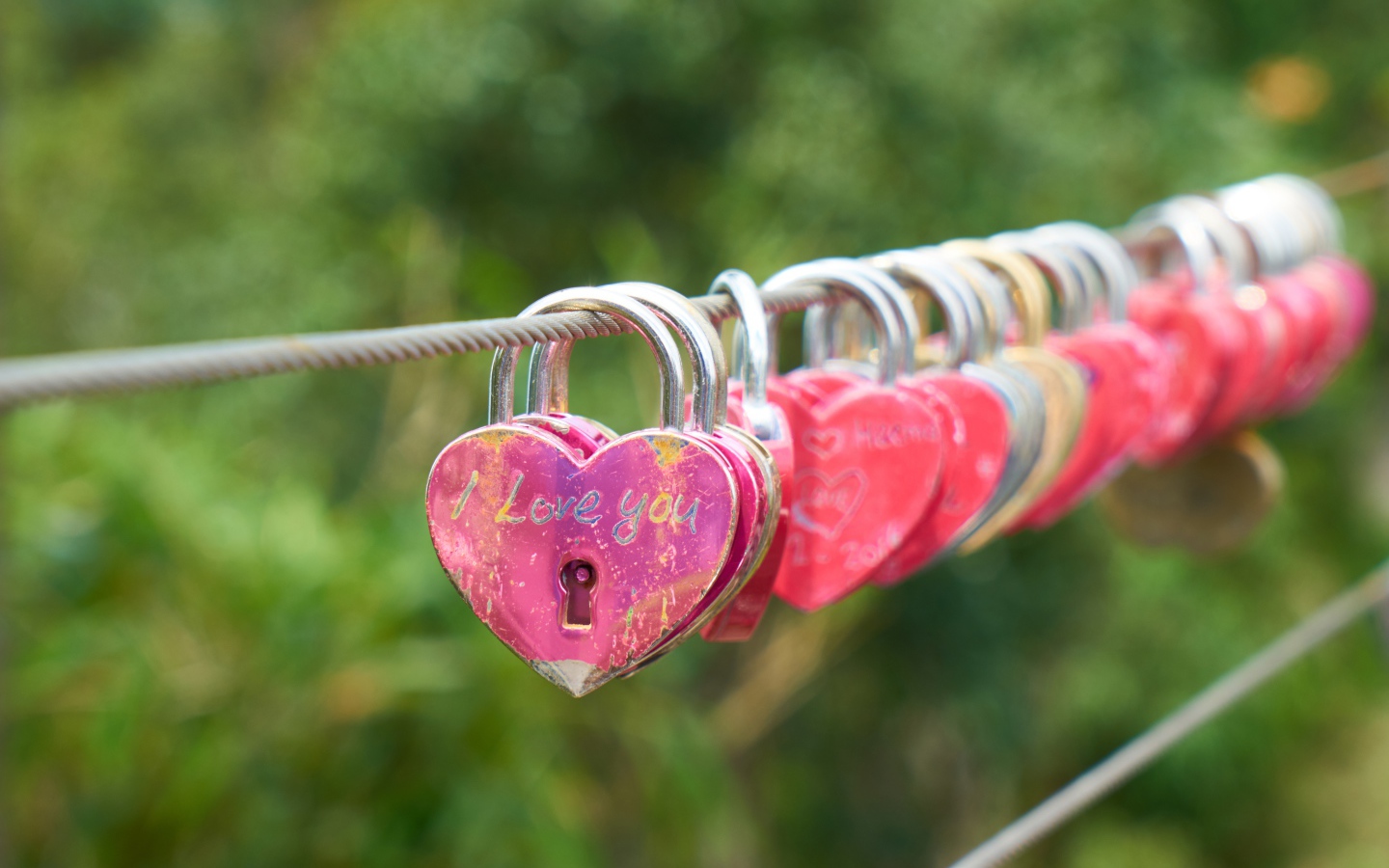 Locks of lovers on a rope near the bridge