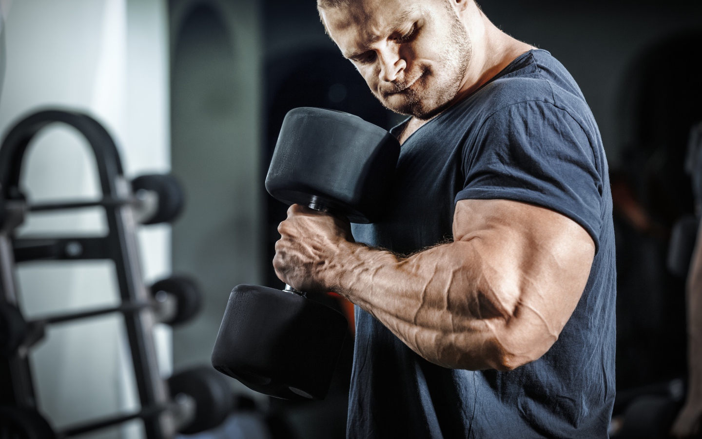 Male bodybuilder in the gym with dumbbell