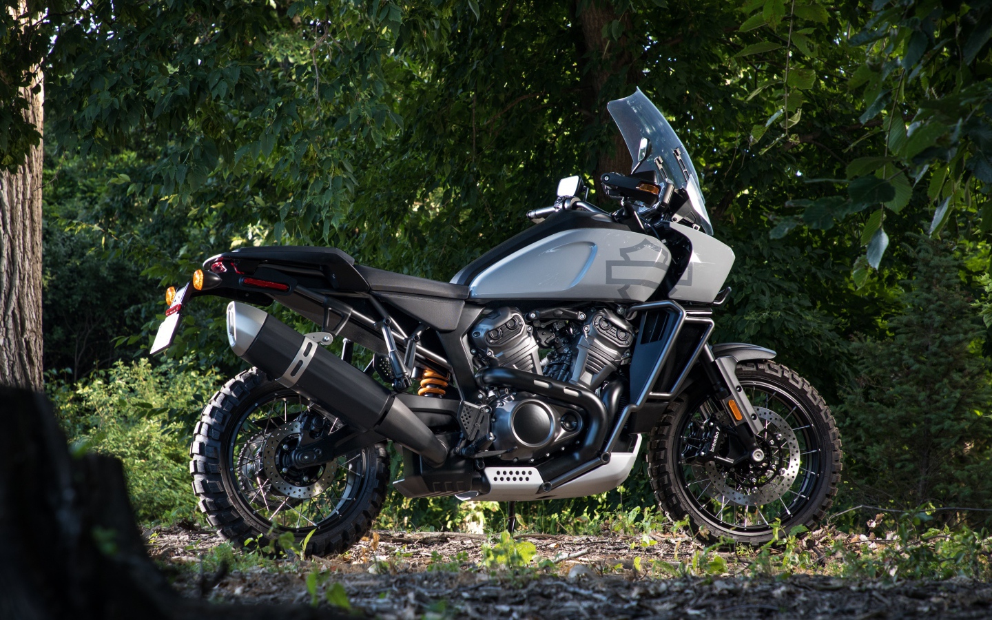 Мотоцикл Harley-Davidson в парке 