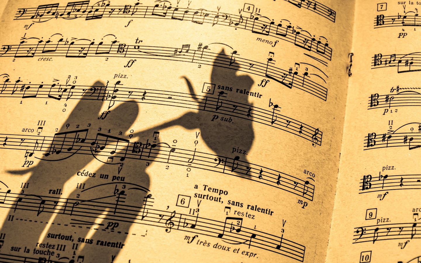 Тень розы на нотной тетради 