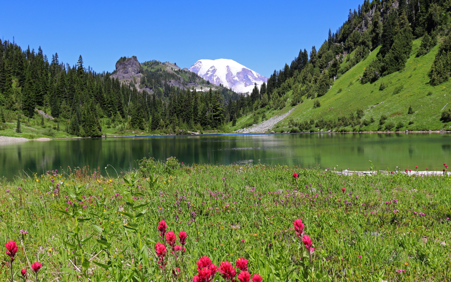 Красивый живописный пейзаж у горного озера 
