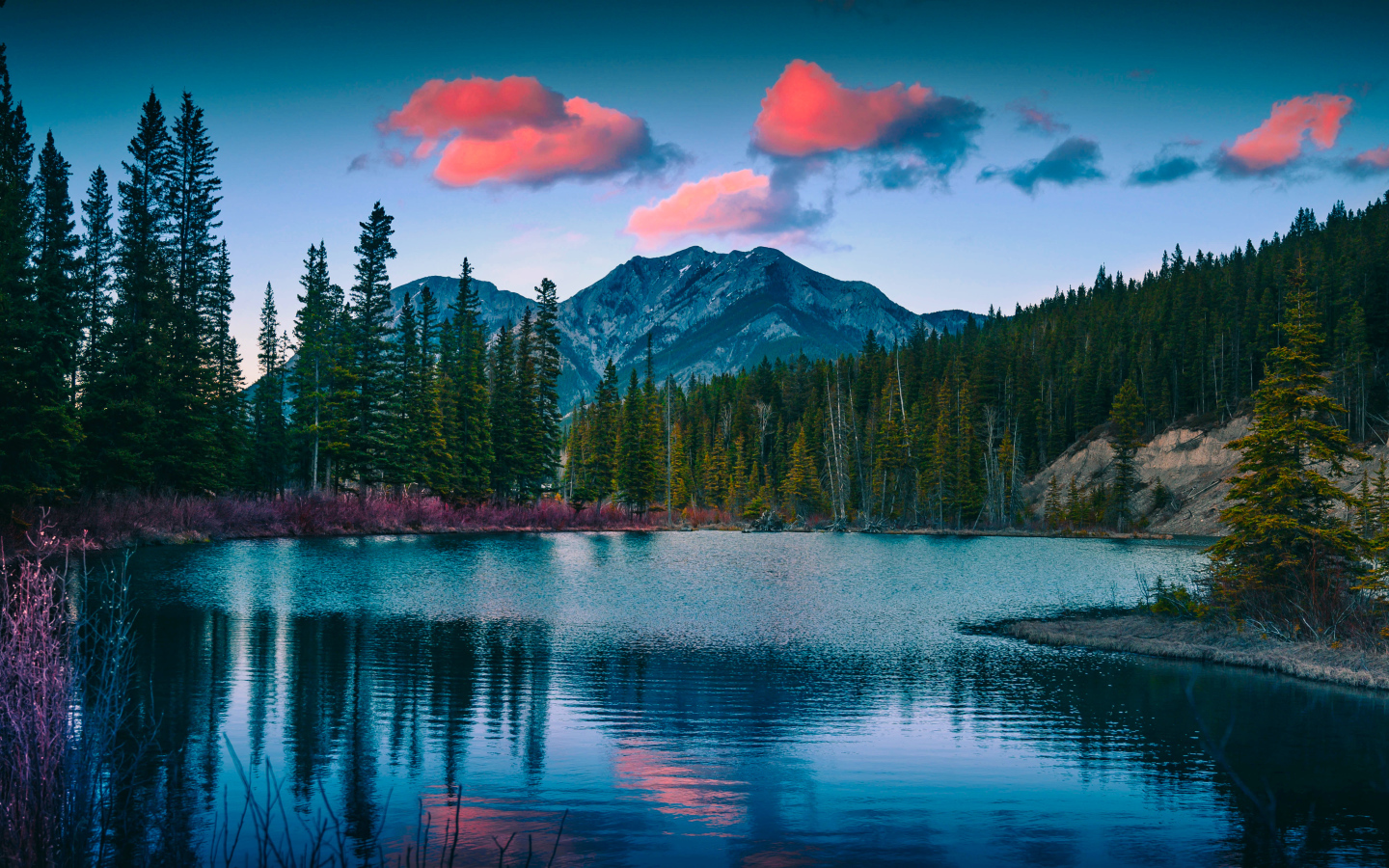 Зеленый лес у озера у подножия гор 