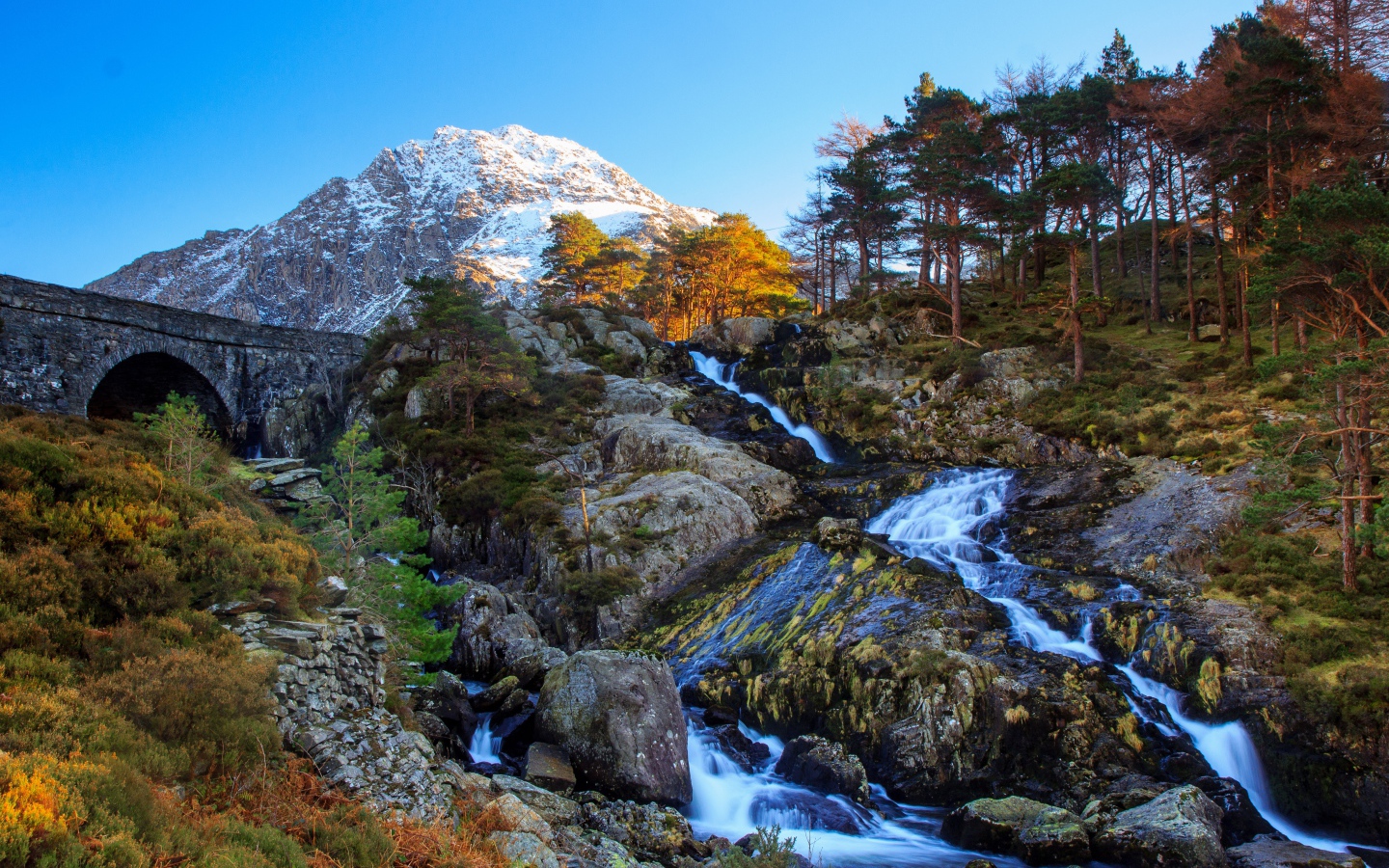 Mountain stream flows down the stones at the coniferous forest