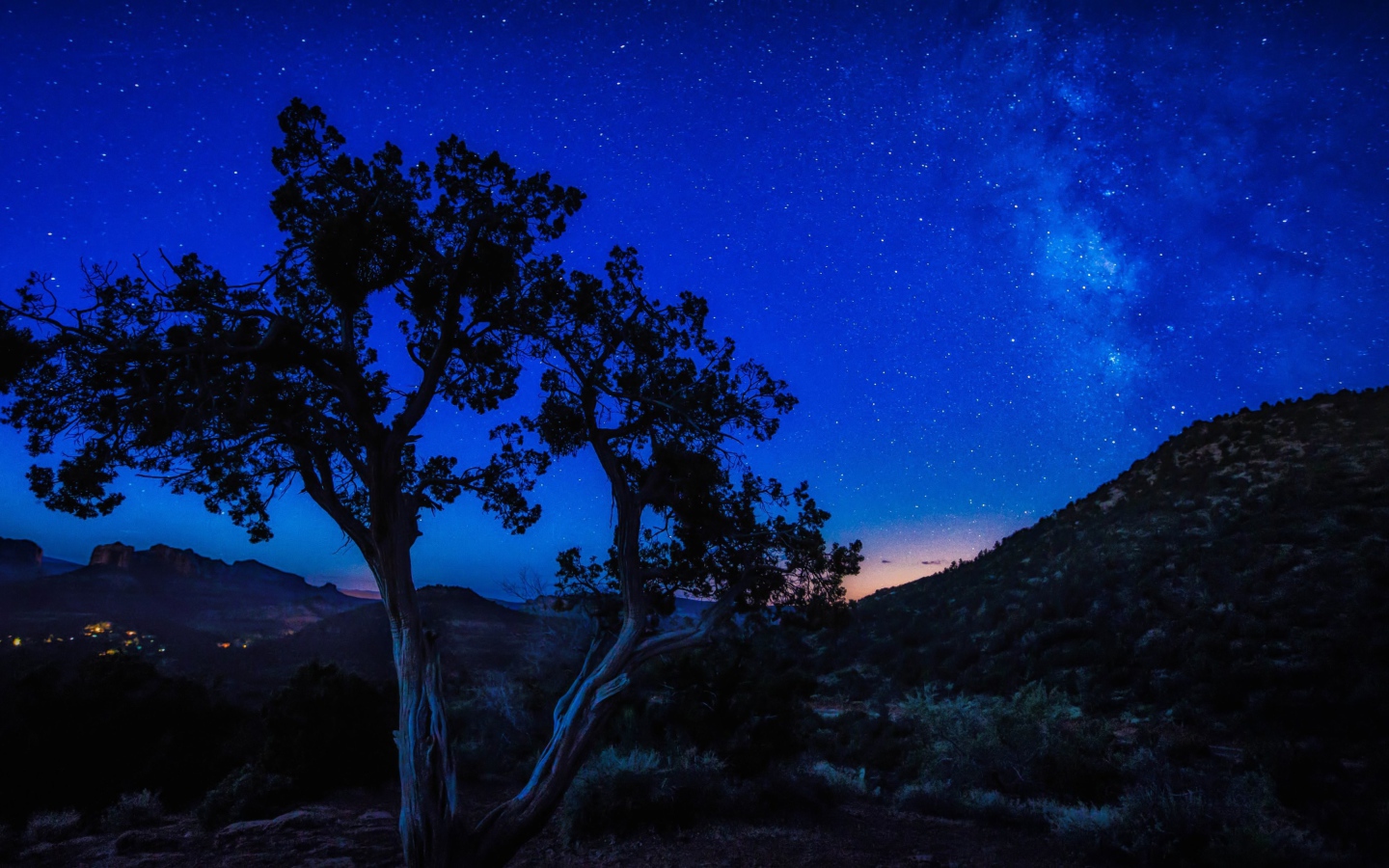 Дерево у холма под голубым звездным небом ночью 
