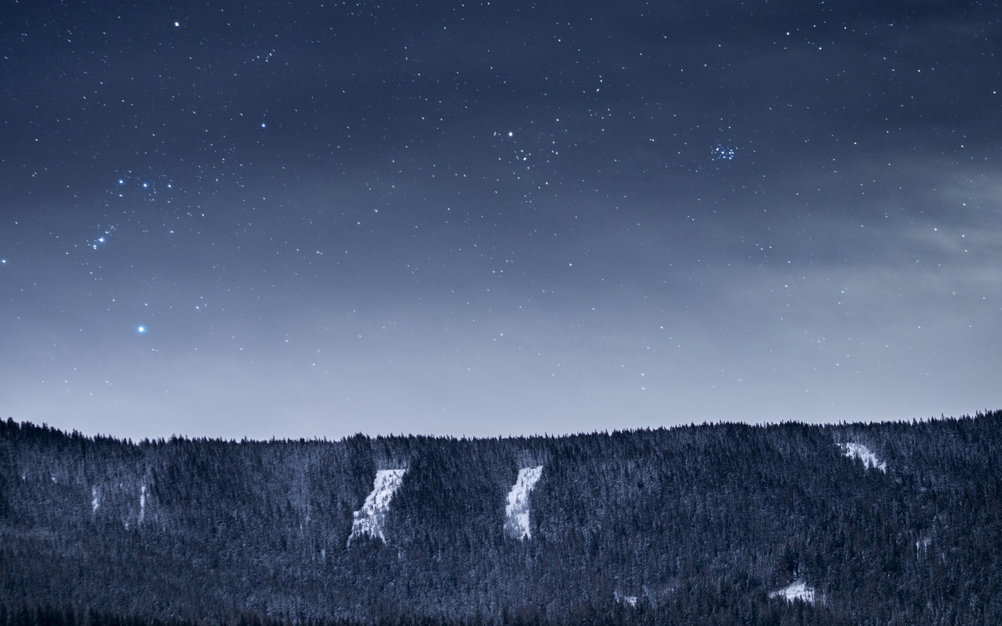 Вид на ночное небо со звездами над лесом