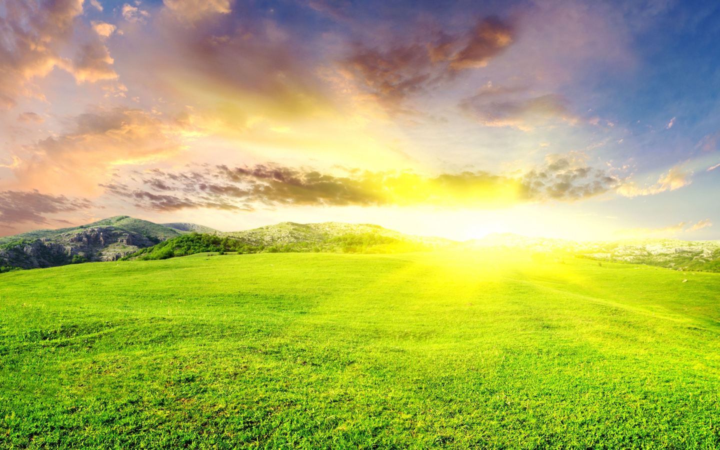 Восход солнца на зелеными полями 