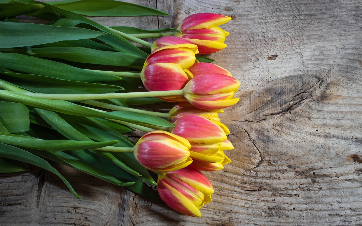 Букет красных тюльпанов с желтыми ободками на деревянном столе