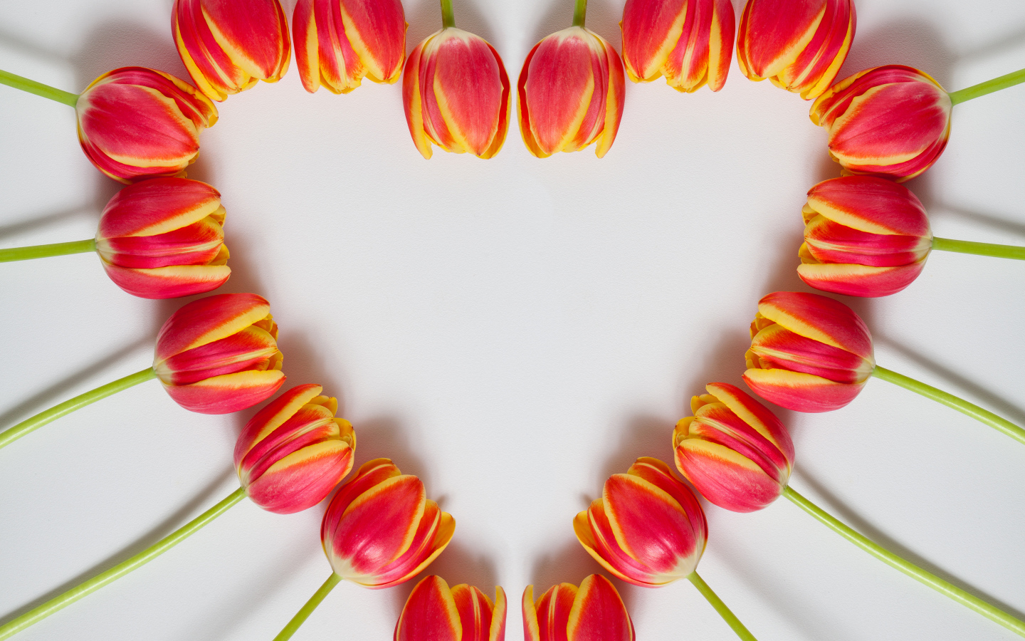 Сердце из красных тюльпанов на сером фоне