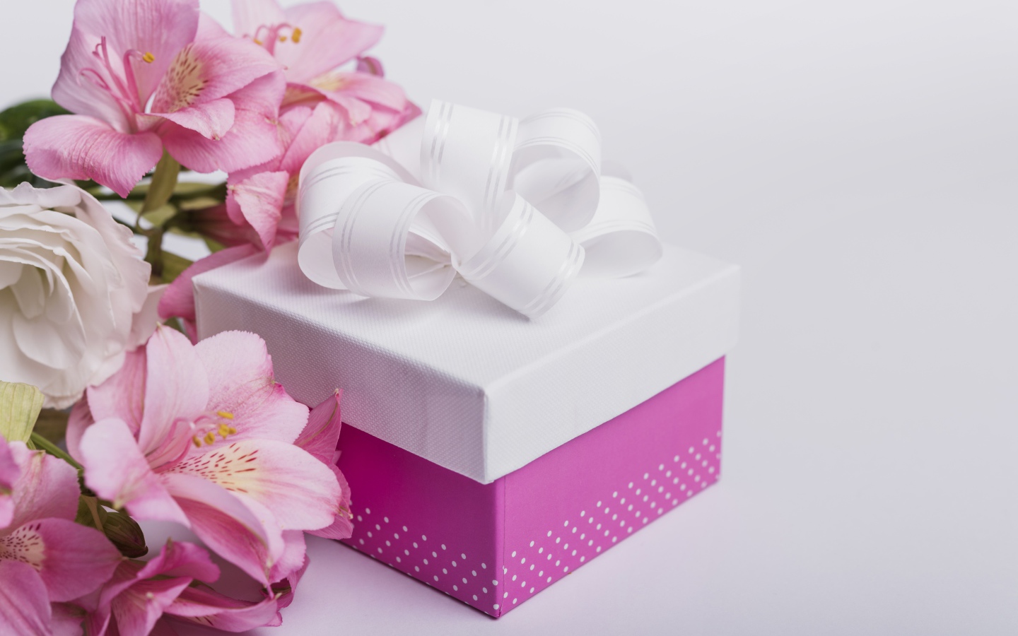 Розовые цветы альстромерии на сером фоне с подарком 