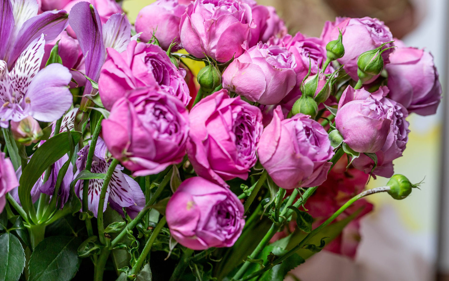 Розовые розы с бутонами в букете с цветами альстромерии