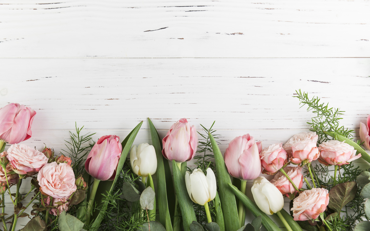 Розовые тюльпаны и розы на белом фоне