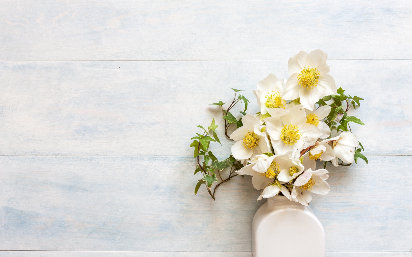 Белые цветы морозника в вазе у стены