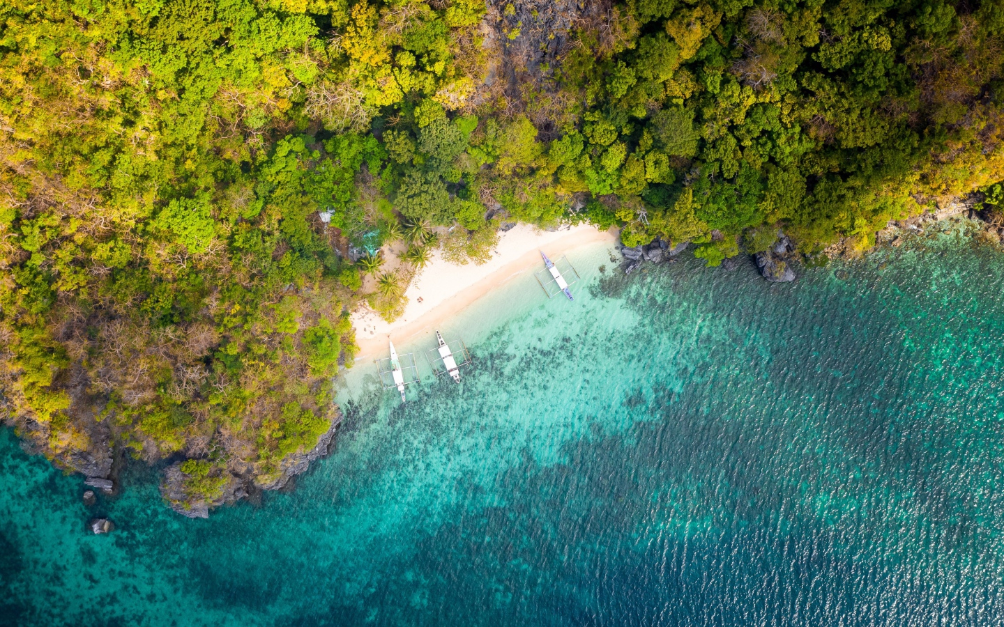 Вид на голубую воду и лес сверху 