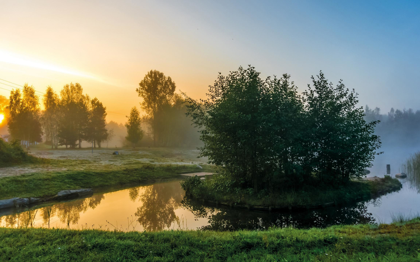 Деревья на островке на реке утром