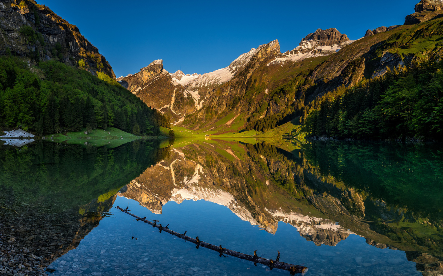 Чистая вода в озере у подножия гор, Швейцария 