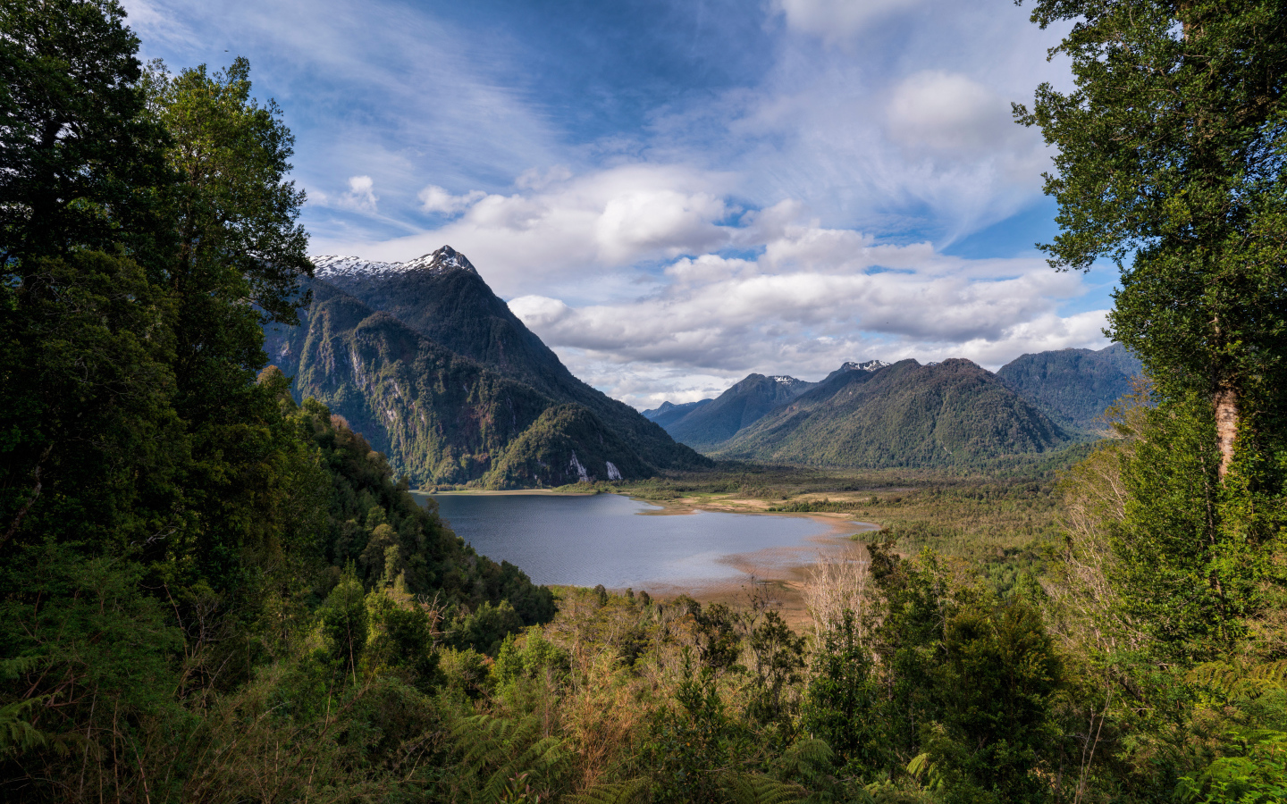 Озеро у гор в зеленых зарослях 