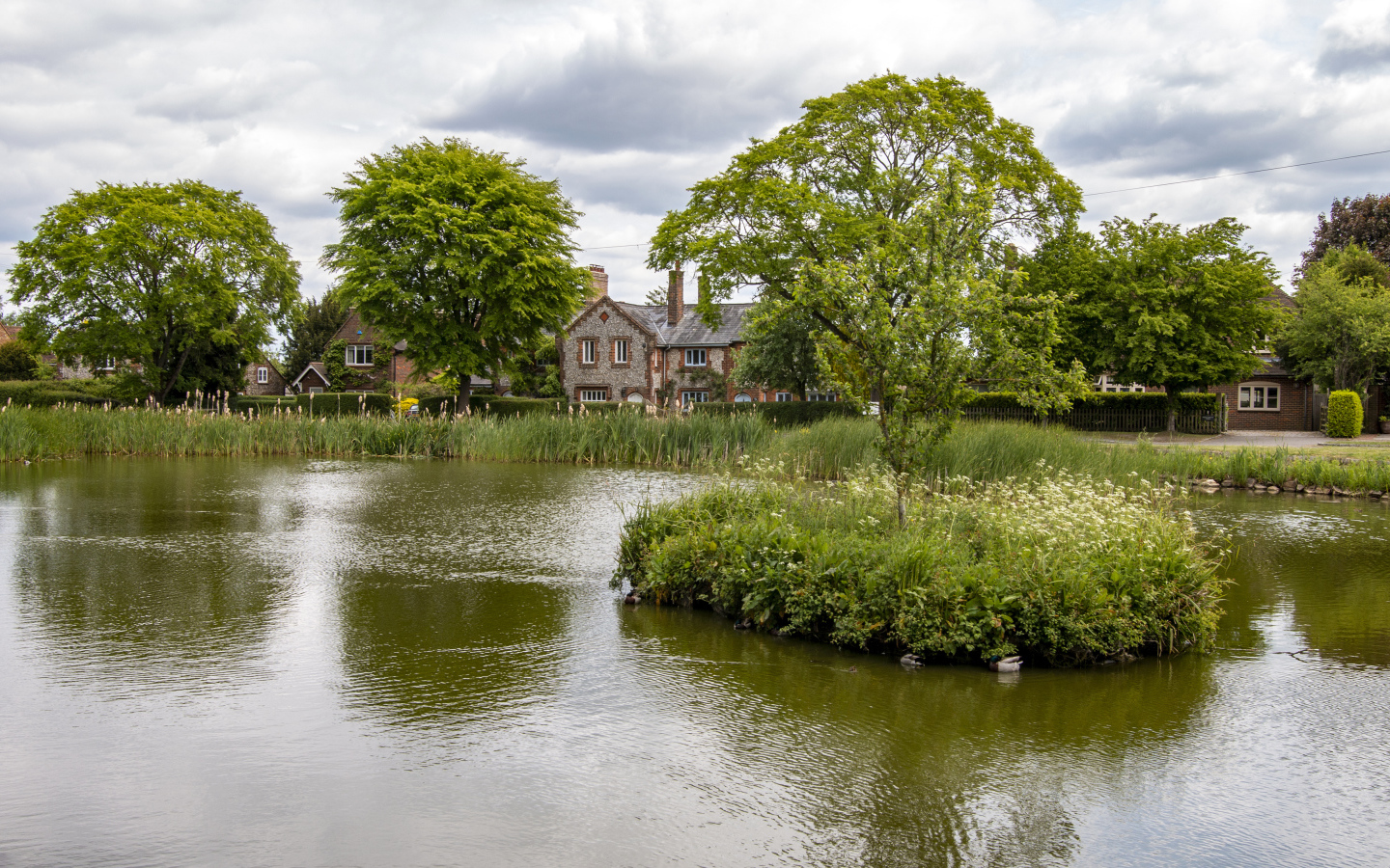 Улица с прудом и зеленой растительностью 
