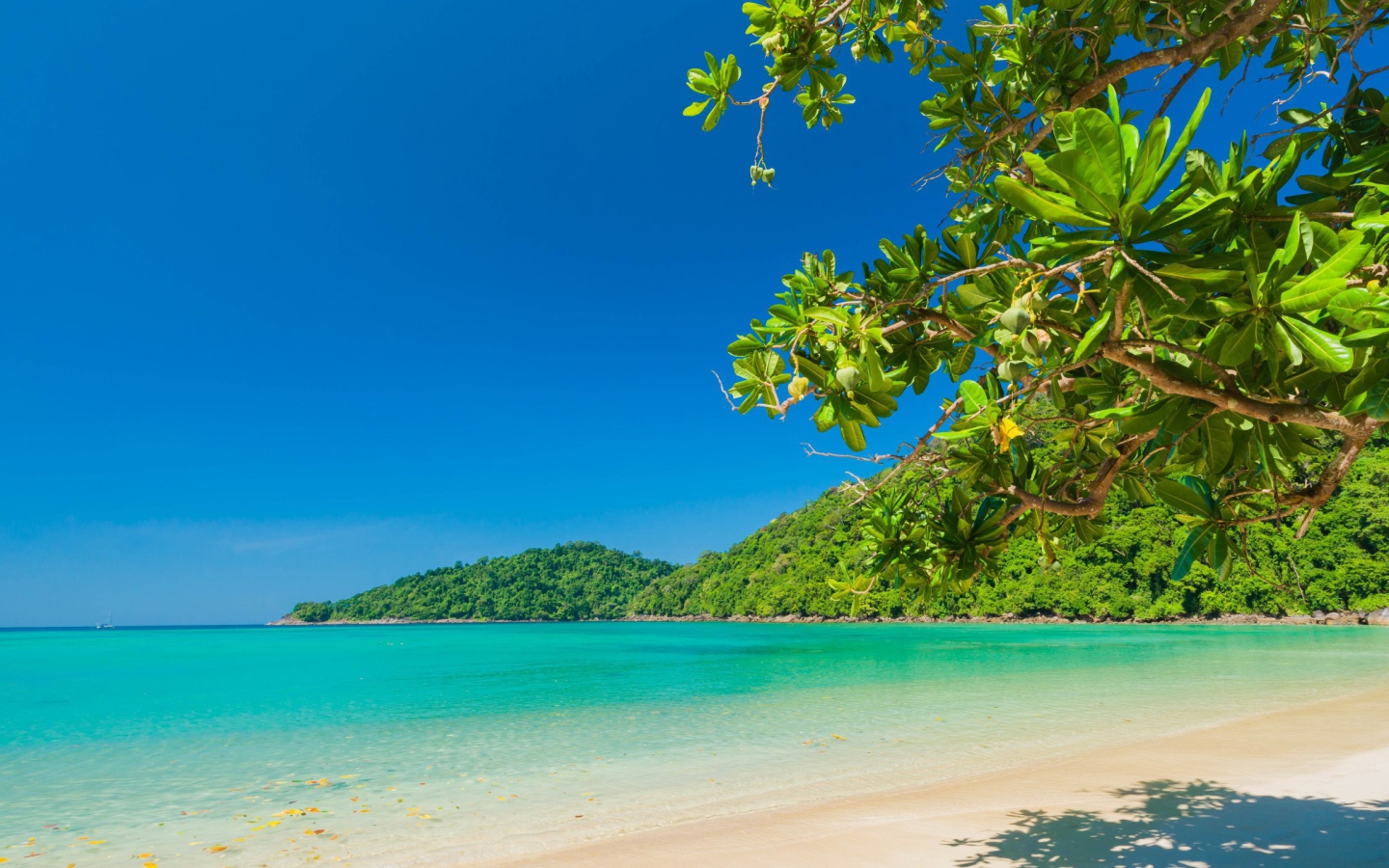 Голубая вода океана на тропическом пляже с белым песком