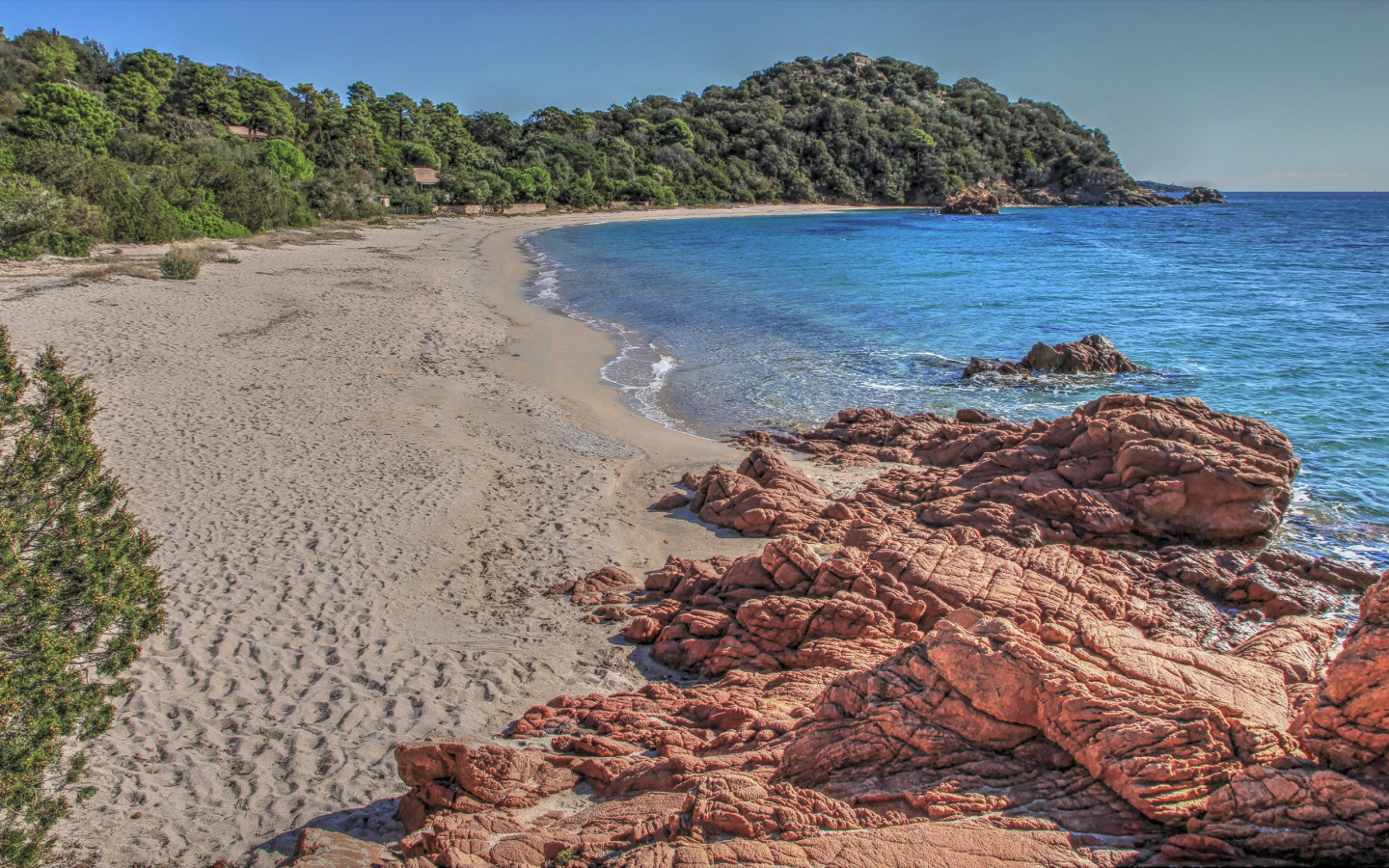 Камни на берегу моря у леса 