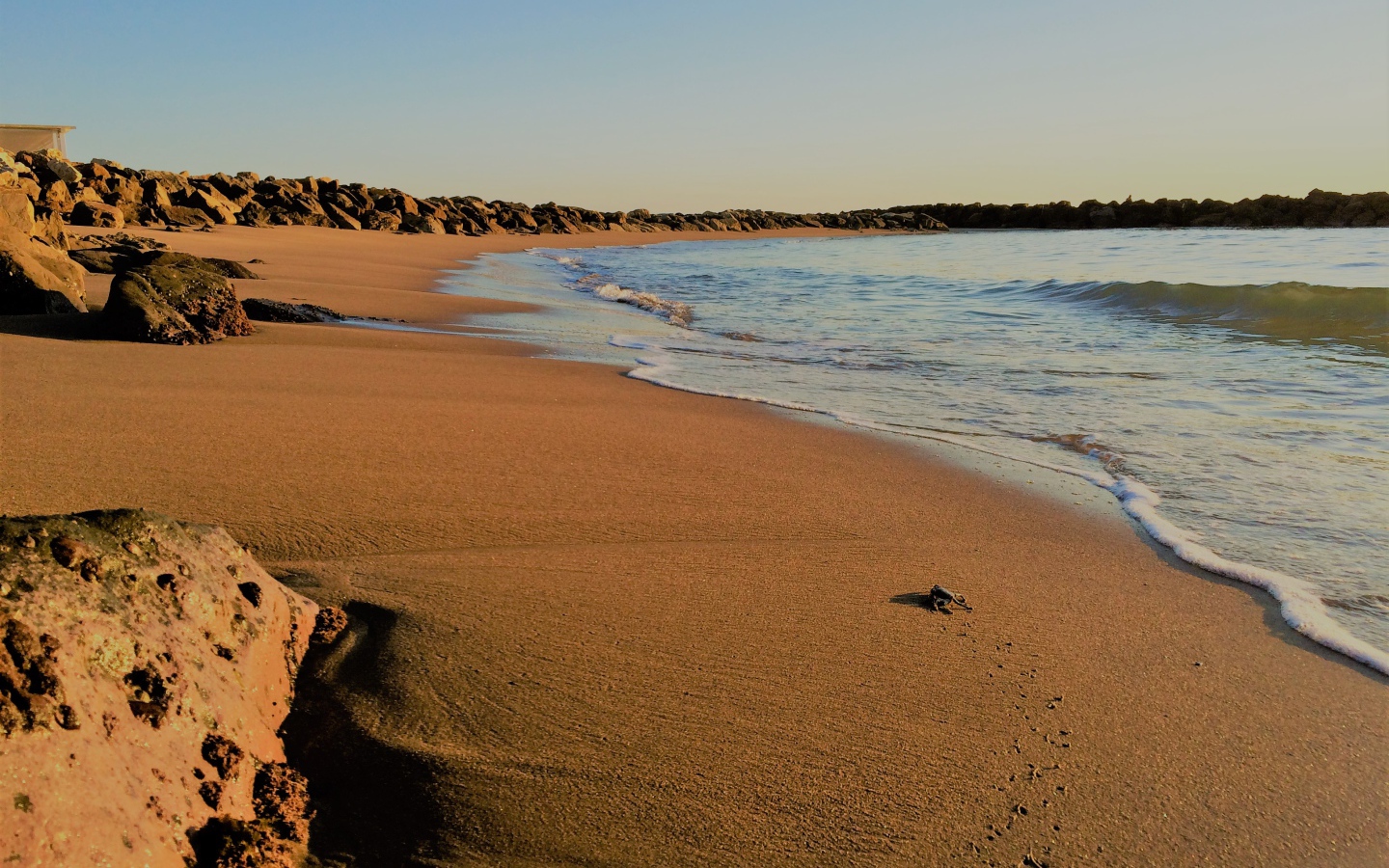Камни на мокром песке к моря 