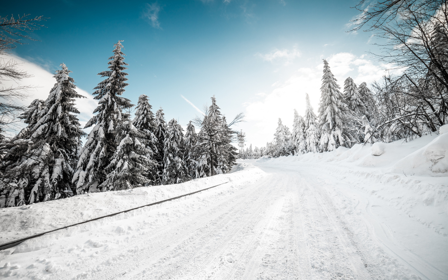 Snowy road in the coniferous forest in winter
