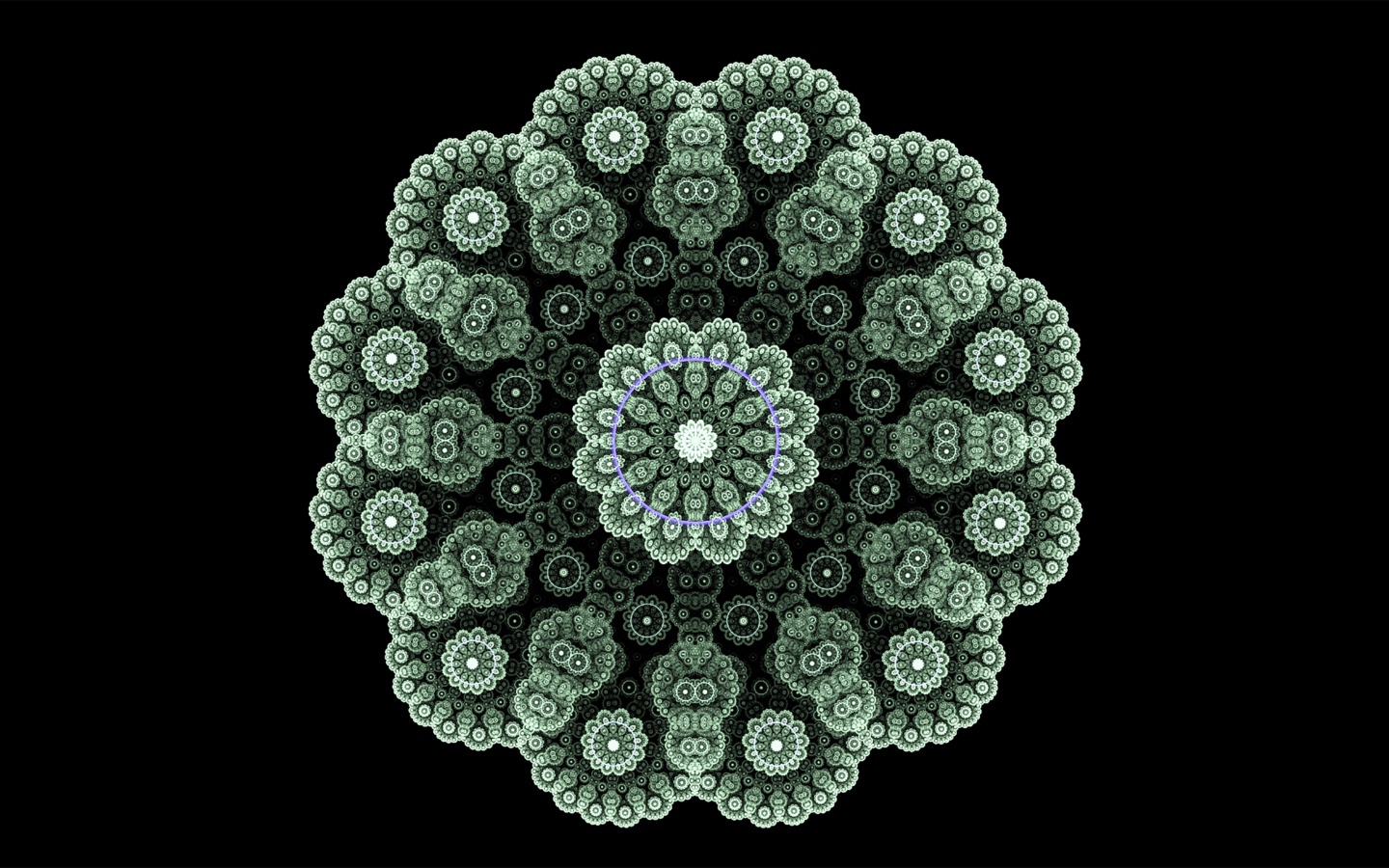 Кружевной зеленый фрактальный цветок на черном фоне