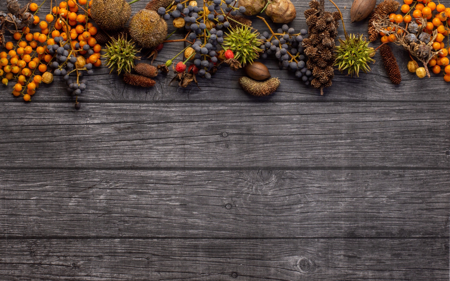 Ягоды с шишками на деревянном фоне 