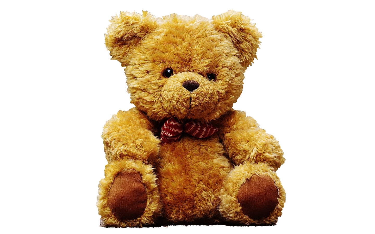 Большой плюшевый медведь на белом фоне