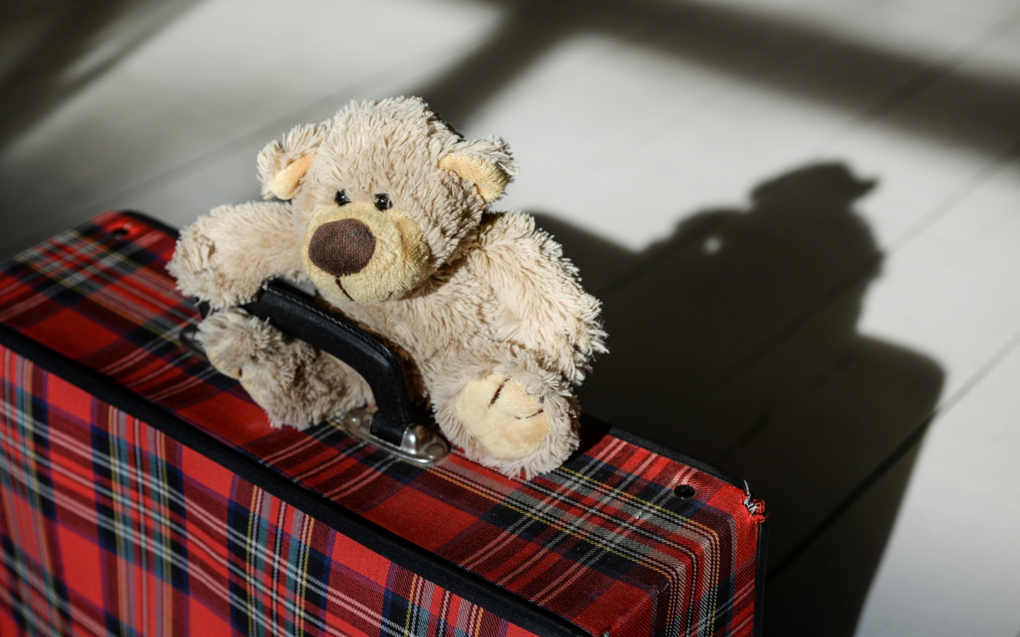Медвежонок Тедди с большим чемоданом 
